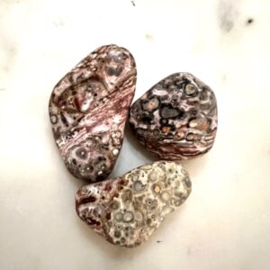 Leopard Skin Jasper