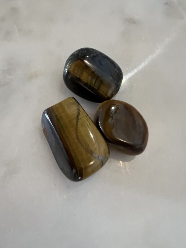 Tiger's Eye Tumblers