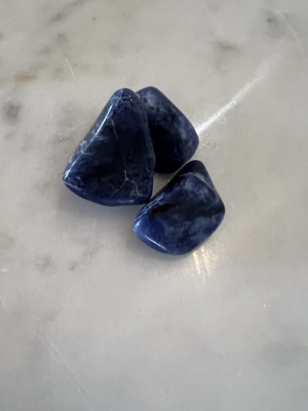 Sodalite Tumbler